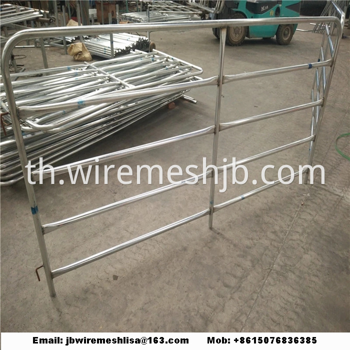 Hot Dipped Galvanized Metal Horse Fence